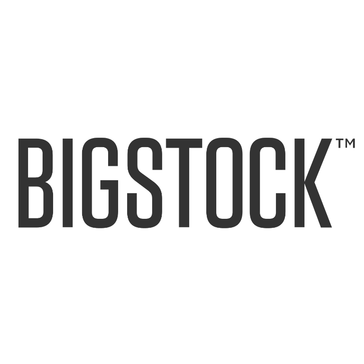 Make Money Online with bigstock
